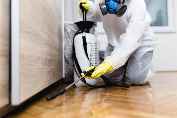 Best Affordable Pest Control Services  in Brookville, OH