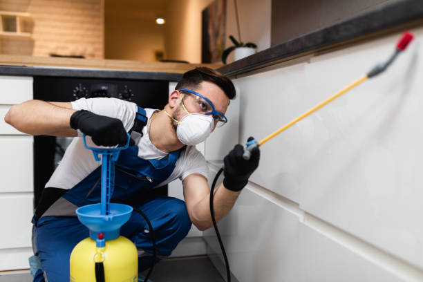 Best Pest Removal Services  in Brookville, OH