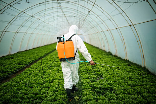 Best Best Pest Control Companies  in Brookville, OH