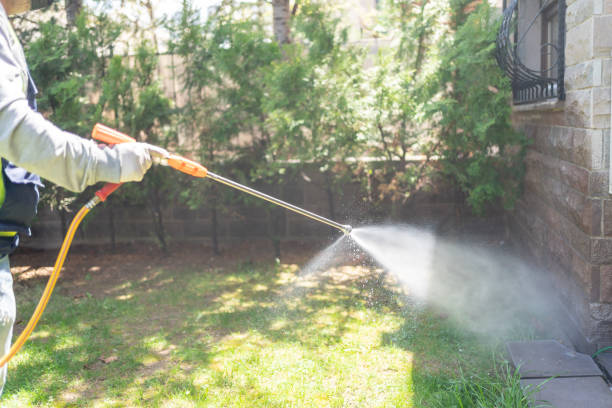 Best Pest Control Near Me  in Brookville, OH